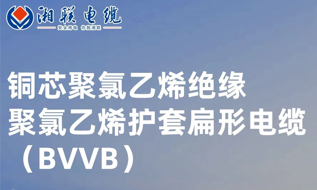 國標認證，品質保障 | 一文解析BVVB（銅芯聚氯乙烯絕緣聚氯乙烯護套扁形電纜）