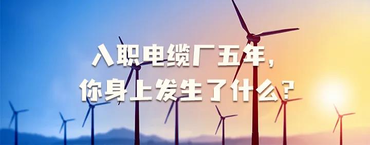 入職電纜廠五年，你身上發(fā)生了哪些變化~